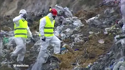 desprendimiento desprendimiento