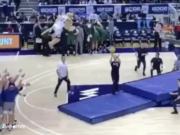 ¿Un mate desde la línea de triple? La barbaridad de 'Cosmo The Cougar', la mascota de la Universidad Brigham Young ¿Un mate desde la línea de triple? La barbaridad de 'Cosmo The Cougar', la mascota de la Universidad Brigham Young