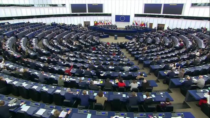 La eurocámara La eurocámara