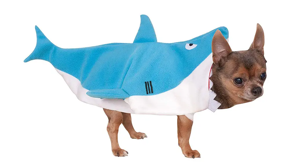 Disfraz perro tiburón Disfraz perro tiburón