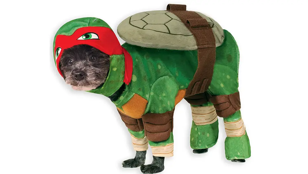 Disfraz perro tortuga ninja Disfraz perro tortuga ninja