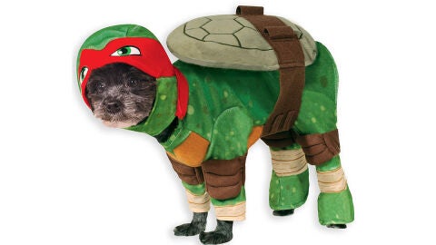 Disfraz perro tortuga ninja