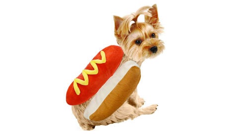 Disfraz perro salchicha