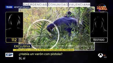 La llamada al 112 alertando del parricidio de Godella: 