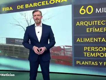REEMPLAZO CHOLLOS REEMPLAZO CHOLLOS