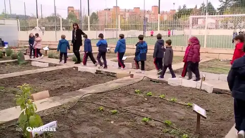 Varios centros implantan iniciativas dedicadas a la ecología para cuidar el medio ambiente Varios centros implantan iniciativas dedicadas a la ecología para cuidar el medio ambiente