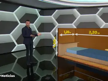Los pisos colmena están a punto de llegar a Madrid Los pisos colmena están a punto de llegar a Madrid