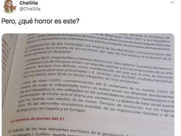 Pantallazo de Twitter de @Cheililla Pantallazo de Twitter de @Cheililla