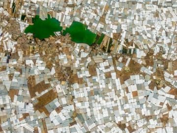 El Ejido (Almería). Los invernaderos cubiertos de plásticos desde el satélite. Andalucía presenta los peores indicadores de España en renta per cápita, paro y esperanza de vida según el INE