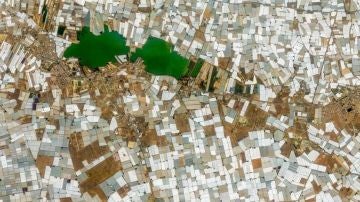 El Ejido (Almería). Los invernaderos cubiertos de plásticos desde el satélite. Andalucía presenta los peores indicadores de España en renta per cápita, paro y esperanza de vida según el INE