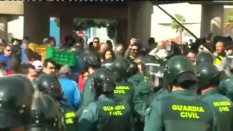 Tensión entre antidisturbios y agricultores en la protesta de El Ejido cuando han cortado la autovía y han lanzado hortalizas a la calzada Tensión entre antidisturbios y agricultores en la protesta de El Ejido cuando han cortado la autovía y han lanzado hortalizas a la calzada