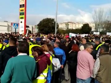 REEMPLAZO:Los agricultores 'aprietan' contra el gobierno de coalición, como pide Iglesias, y se movilizan en Granada, A Coruña y Navarra