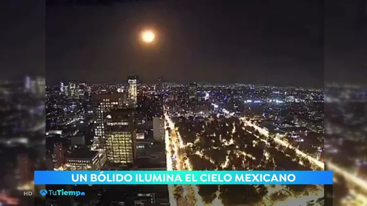 NUEVA bolido