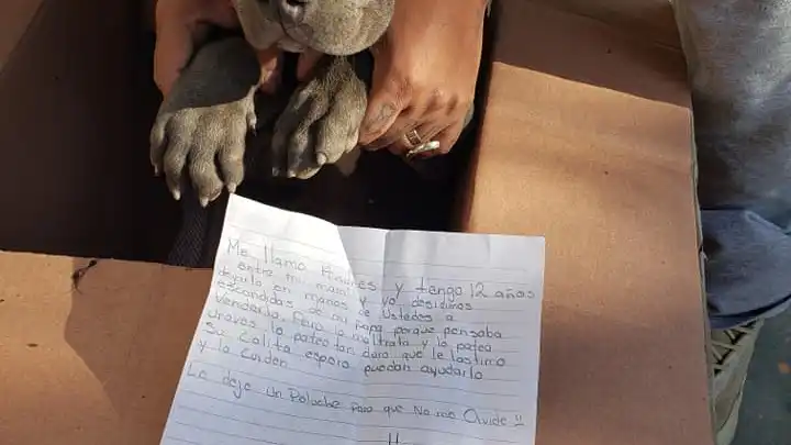 Perro abandonado junto a una carta
