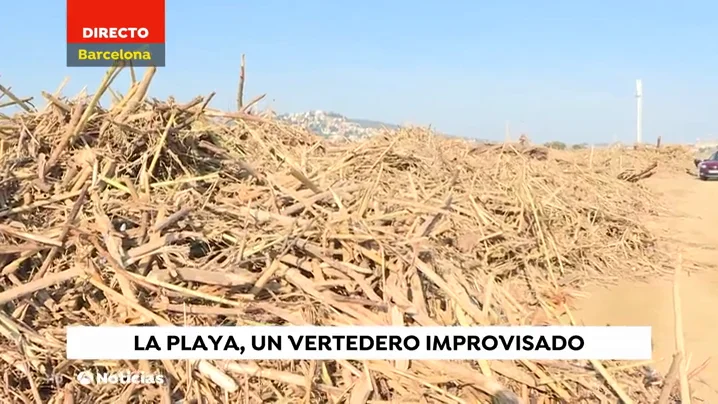 Los estragos de 'Gloria': en la playa de Santa Susana se acumulan toneladas de ramas, cañas y troncos de grandes dimensiones playa daños