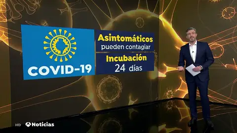 NUEVA CORONA NUEVA CORONA