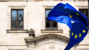 Unión Europea La Unión Europea aboga por crear una base de datos policial de reconocimiento facial.