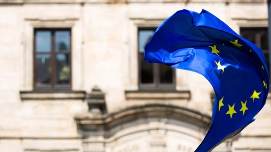 Unión Europea La Unión Europea aboga por crear una base de datos policial de reconocimiento facial.