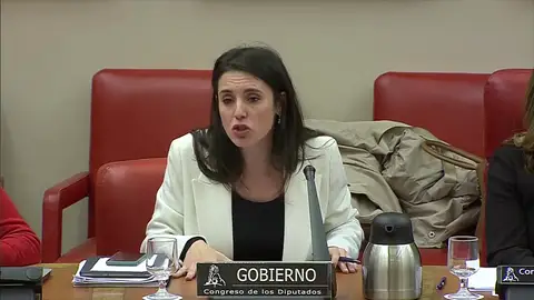 Irene Montero a la portavoz de Vox: ¿Ha venido a amenazar a la ministra de Igualdad? Irene Montero a la portavoz de Vox: ¿Ha venido a amenazar a la ministra de Igualdad?