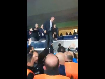 El presidente del Fenerbahçe salta de la grada