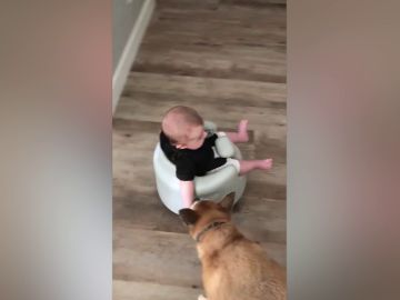 Jax, el bebé montado en el aspirador Roomba Jax, el bebé montado en el aspirador Roomba
