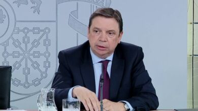 Aprobado el decreto que impide ventas agrarias por debajo del precio de producción