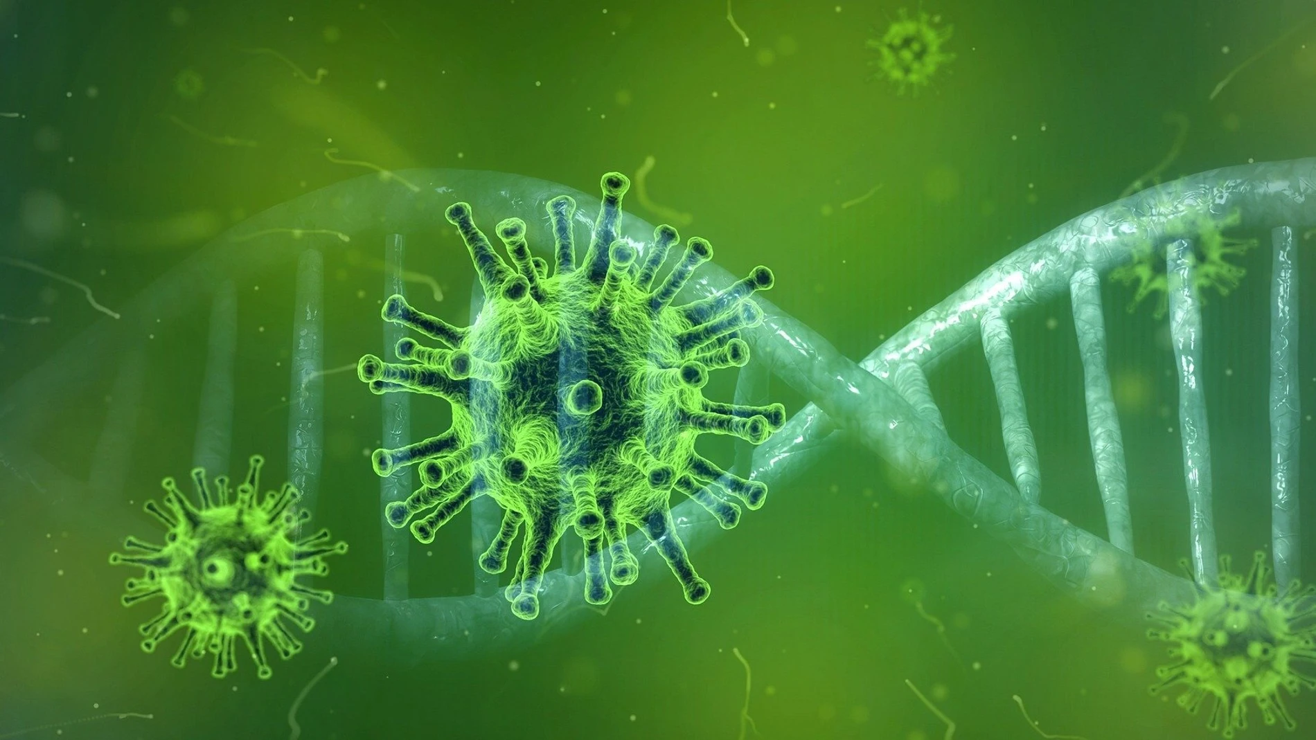 Situación epidemiológica Situación epidemiológica