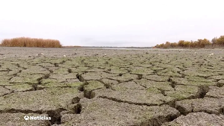 NUEVA DAIMIEL