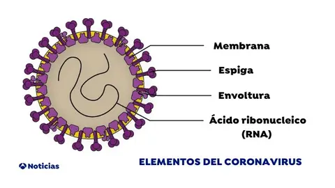 Elementos del coronavirus Elementos del coronavirus