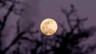 Superluna de las flores: ¿Por qué hoy la luna es tres veces más especial? Vista de una superluna (Archivo)