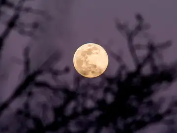 Superluna de las flores: ¿Por qué hoy la luna es tres veces más especial? Superluna de las flores: ¿Por qué hoy la luna es tres veces más especial?
