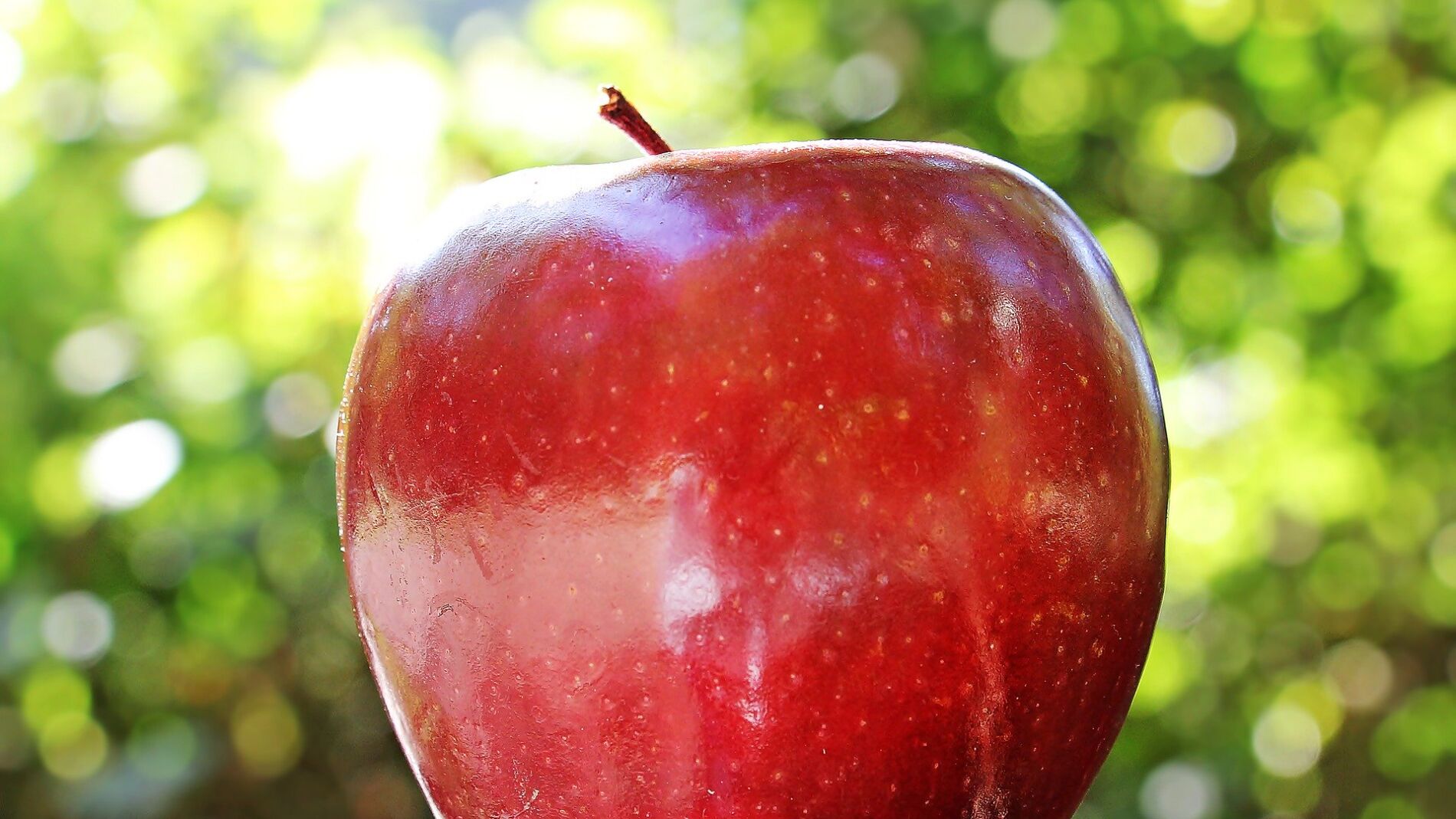 Manzana