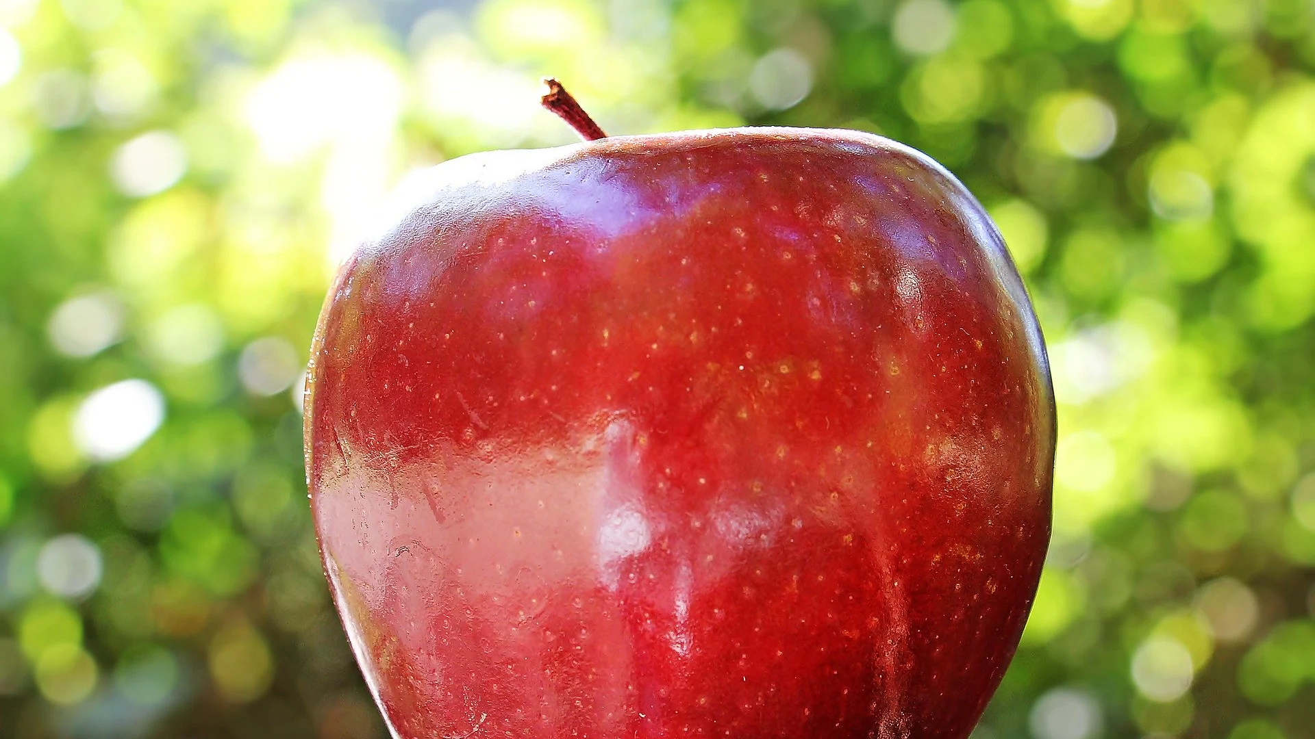 Manzana