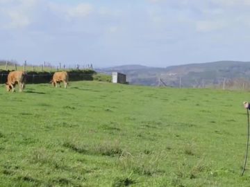 Galicia vaciada