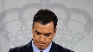 Pedro S&aacute;nchez