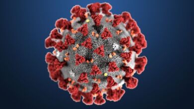 El Ministerio de Sanidad anuncia que avanza en el proyecto para realizar test rápidos del coronavirus