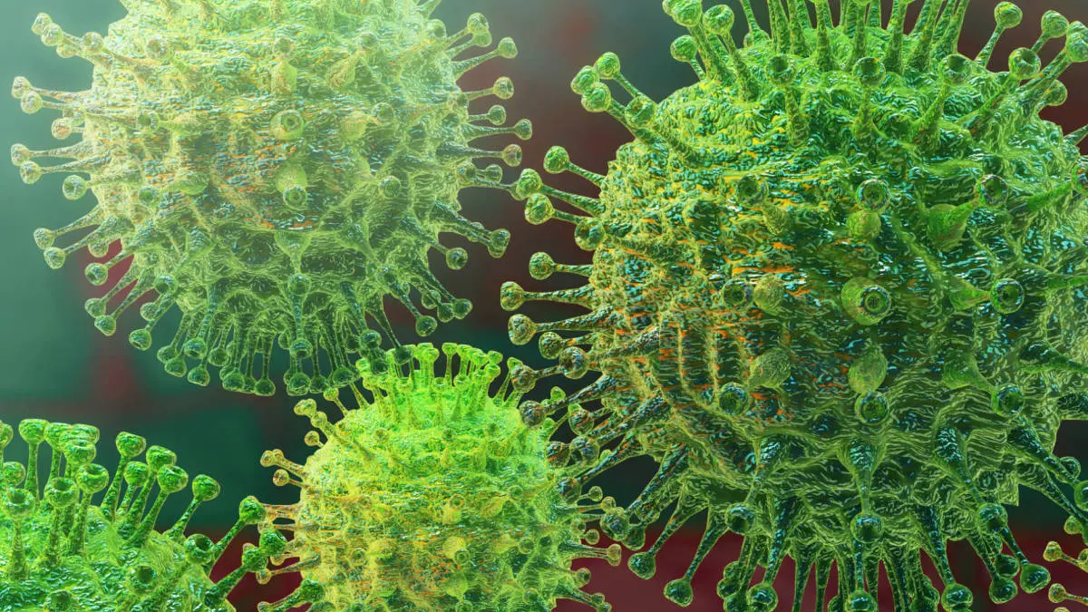 coronavirus coronavirus