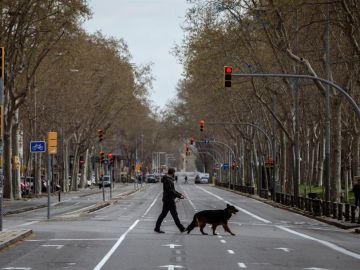 Pasear al perro durante la cuarentena