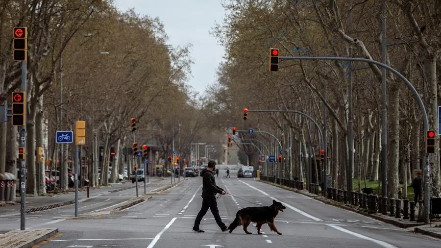 Pasear al perro durante la cuarentena