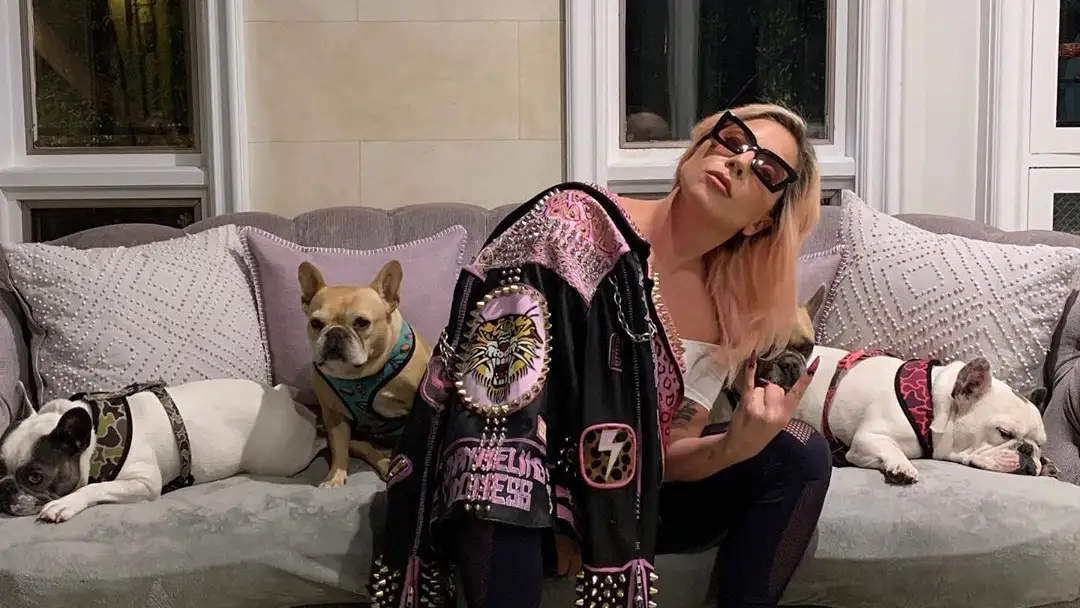 Lady Gaga se pone en cuarentena voluntaria Lady Gaga se pone en cuarentena voluntaria
