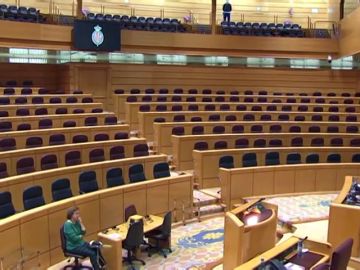 El Senado ofrece una imagen insólita al celebrar su primer pleno completamente vacío