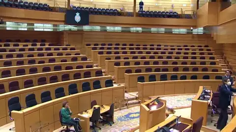 El Senado ofrece una imagen insólita al celebrar su primer pleno completamente vacío El Senado ofrece una imagen insólita al celebrar su primer pleno completamente vacío