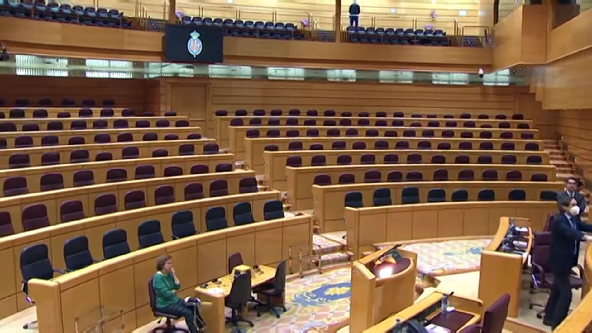El Senado ofrece una imagen insólita al celebrar su primer pleno completamente vacío El Senado ofrece una imagen insólita al celebrar su primer pleno completamente vacío