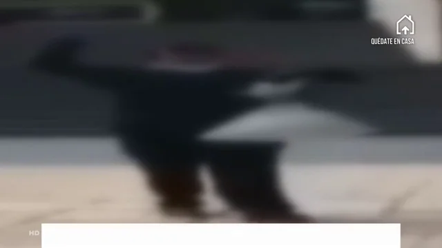 CURADOS