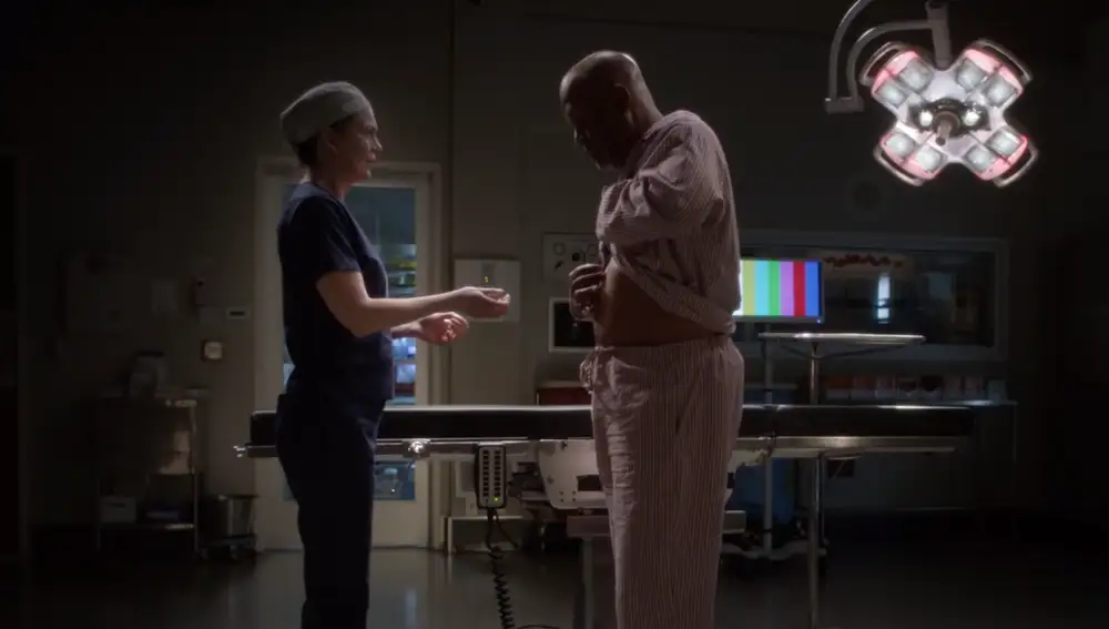 Meredith Grey y Richard Webber en 'Anatomía de Grey'
