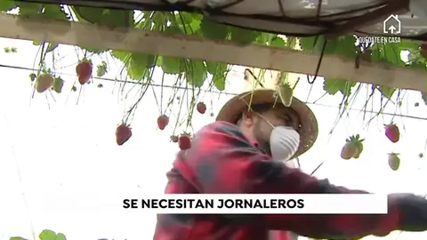 agricultores agricultores