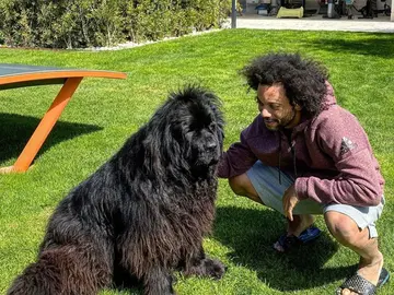 Marcelo, junto a su perra Marcelo, junto a su perra