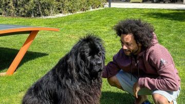 Marcelo, junto a su perra