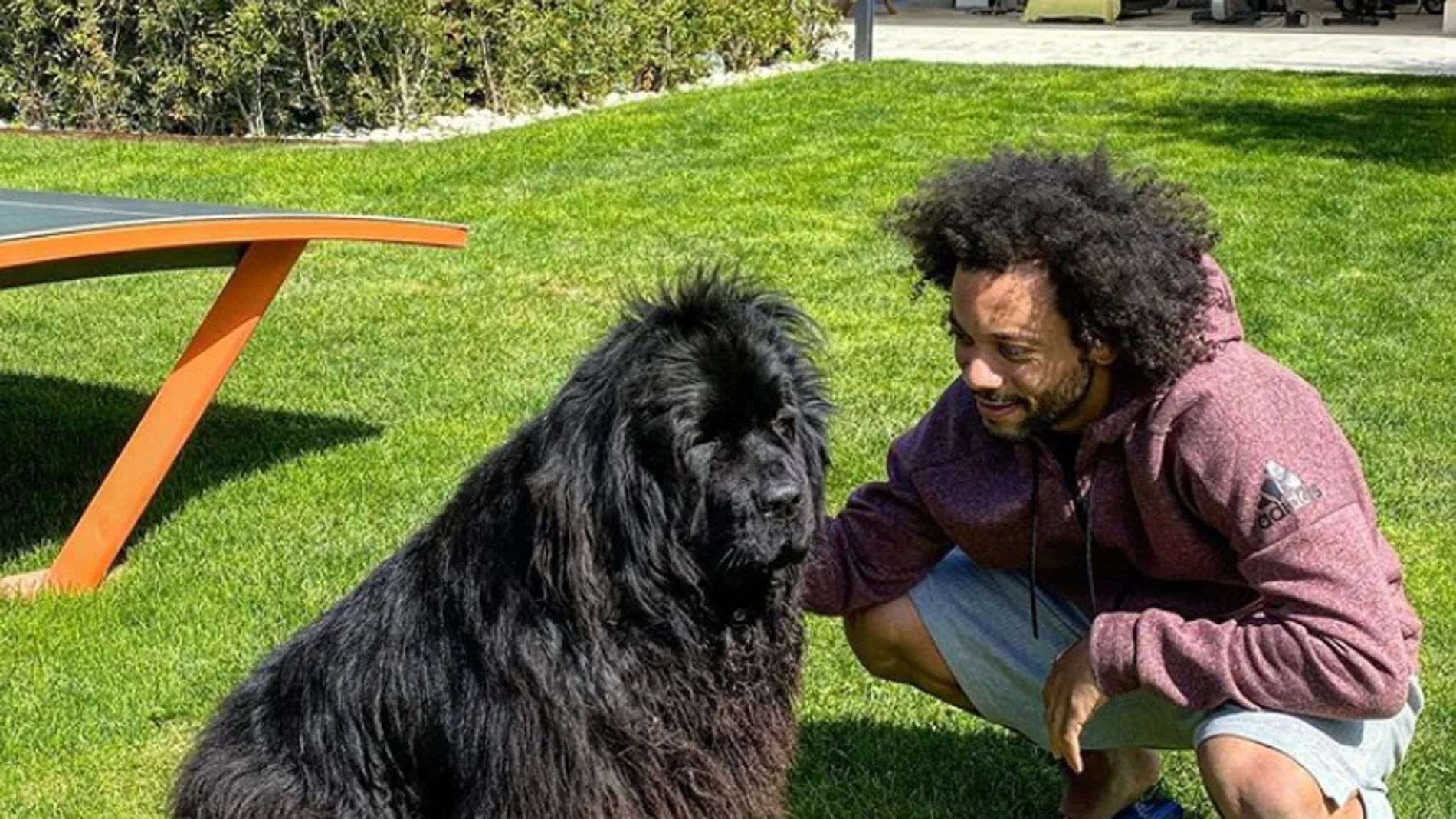 Marcelo, junto a su perra Marcelo, junto a su perra