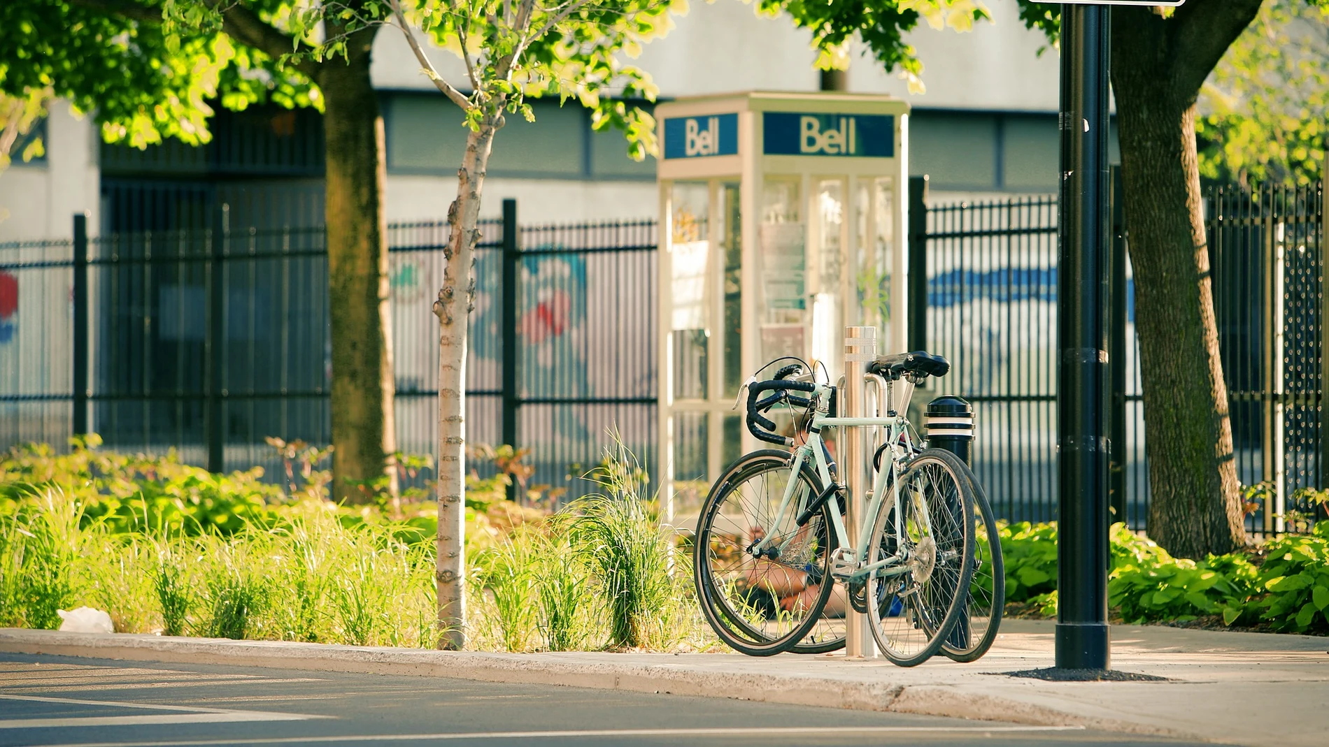 Un hombre se disfraza de arbusto para burlar el confinamiento por el coronavirus Un hombre se disfraza de arbusto para burlar el confinamiento por el coronavirus